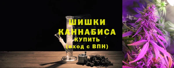 шишки Алексин