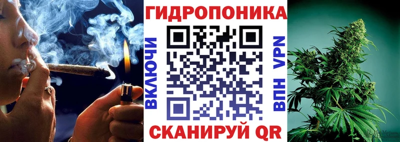 магазин продажи наркотиков  Сосновоборск  мега ТОР  Шишки марихуана планчик 